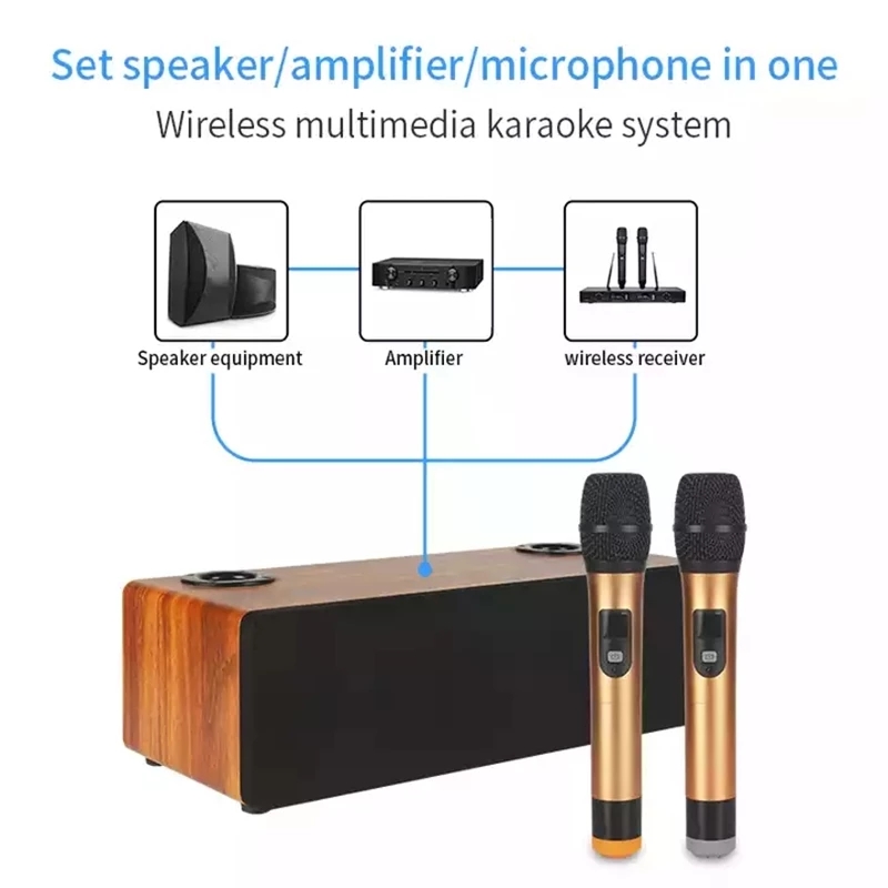 Professional Karaoke Wireless  - Home Cinema Audio System บทวิจารณ์และราคา
