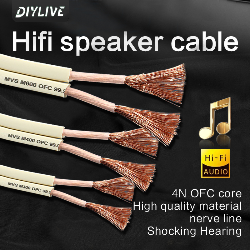 DIYLIVE HiFi Speaker Line for  - Home Cinema Cabasse บทวิจารณ์และราคา